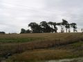 Lichtenburg Farm, Durbanville, SA. No 4059.